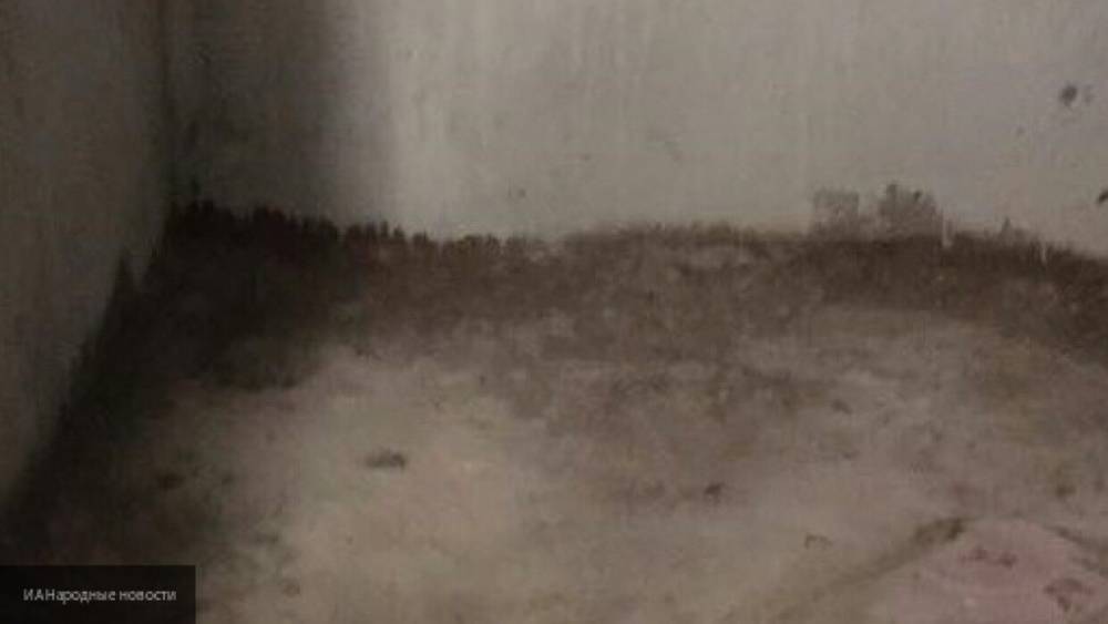 Тело пропавшей девушки обнаружили замурованным в бетон на заводе в Вологодской области