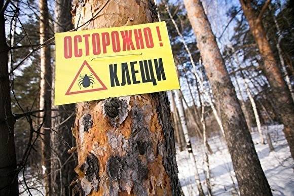 В Челябинской области 432 человека пострадали от укусов клещей