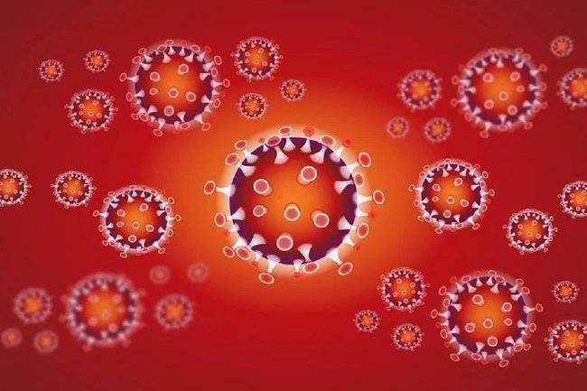 Академик описал механизм появления коронавируса