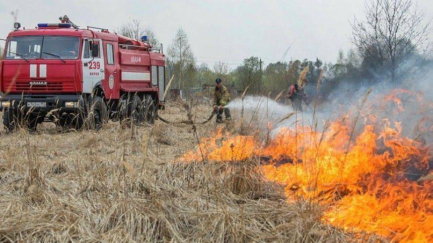 В регионах России обострилась ситуация с природными пожарами
