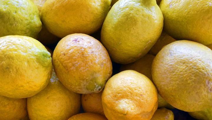 ФАС прояснила ситуацию с резким ростом цен на лимоны