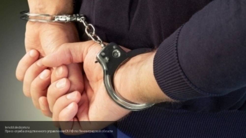 Суд приговорил к 14 годам тюремного заключения педофила из Барнаула