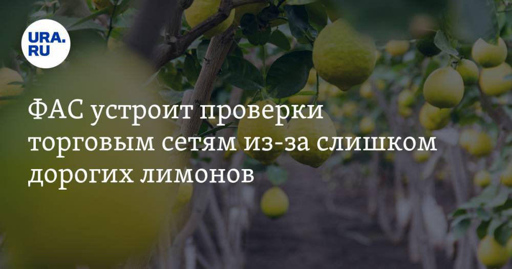 ФАС устроит проверки торговым сетям из-за слишком дорогих лимонов