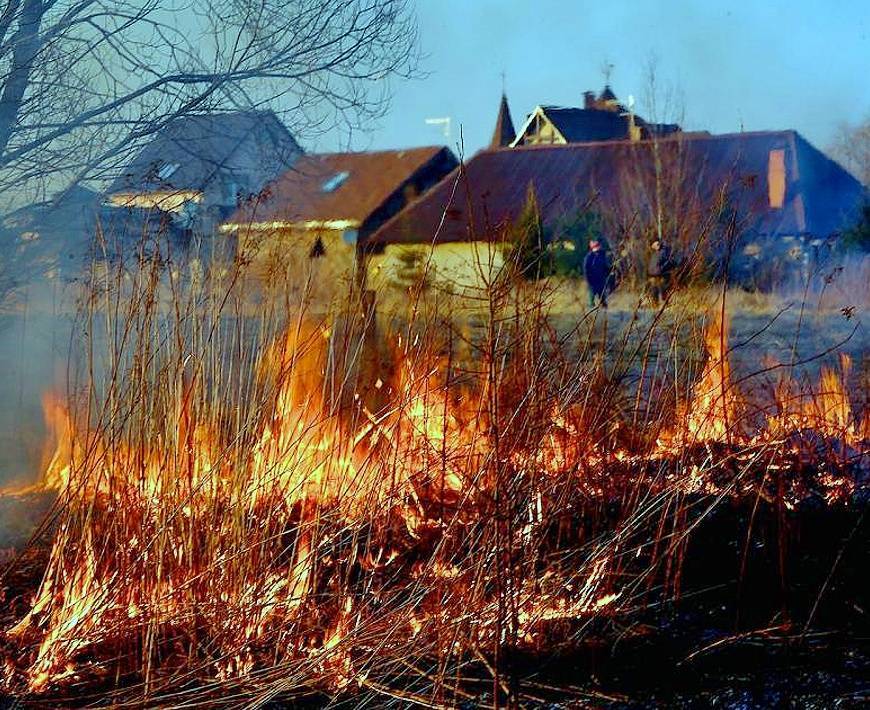 В разных районах Кузбасса сгорели десятки домов из-за пала травы