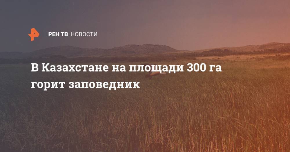 В Казахстане на площади 300 га горит заповедник