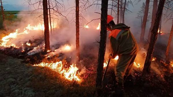 «Пожарные заняты, помимо тушения, еще и обработкой больниц» — представитель Greenpeace о ЧС в Сибири