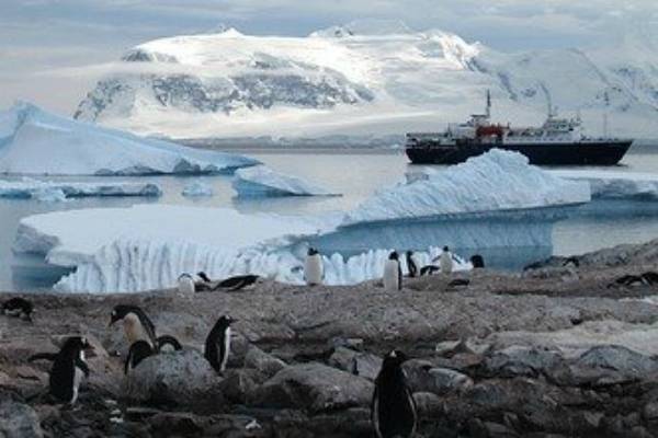 Триллион тонн льда: крупнейший айсберг Антарктиды начал разрушаться