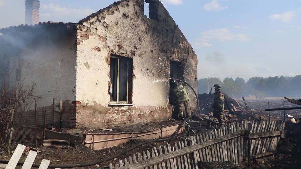 Власти Кузбасса назвали причину масштабных пожаров в трёх сёлах