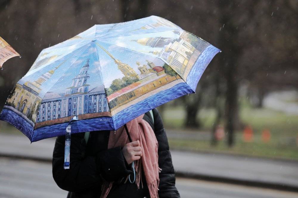 Синоптики пообещали москвичам небольшой дождь 24 апреля