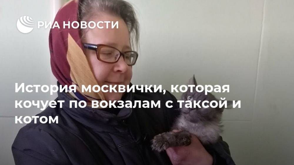 История москвички, которая кочует по вокзалам с таксой и котом