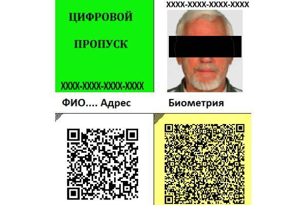В Петербурге приготовили цветные цифровые пропуска для режима самоизоляции