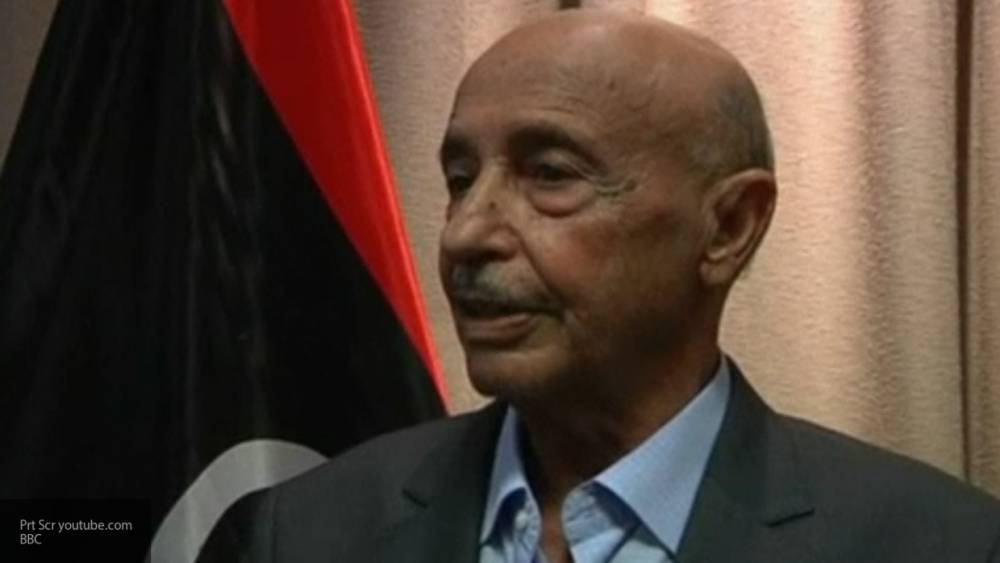 Салех рассказал об этапах формирования Президентского совета в Ливии