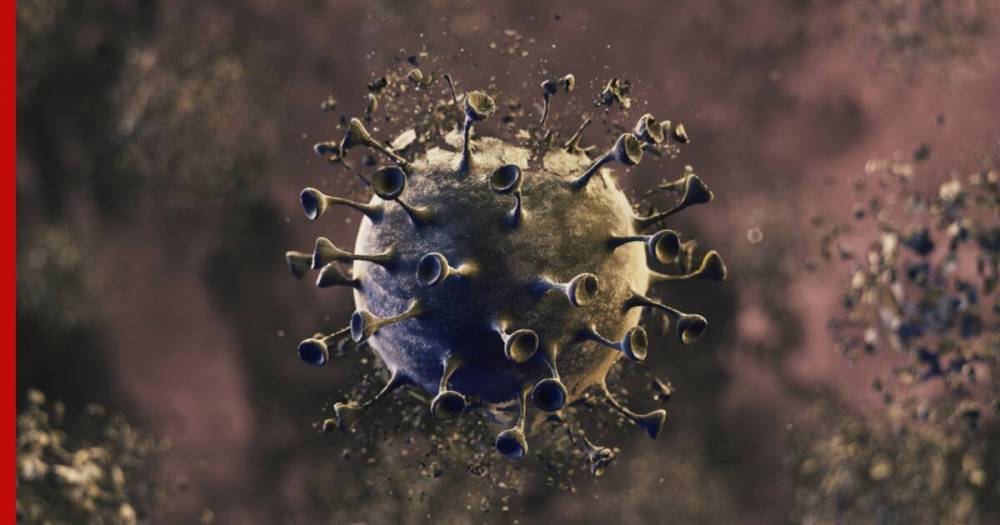 Ученые рассказали о способе «убийства» коронавируса
