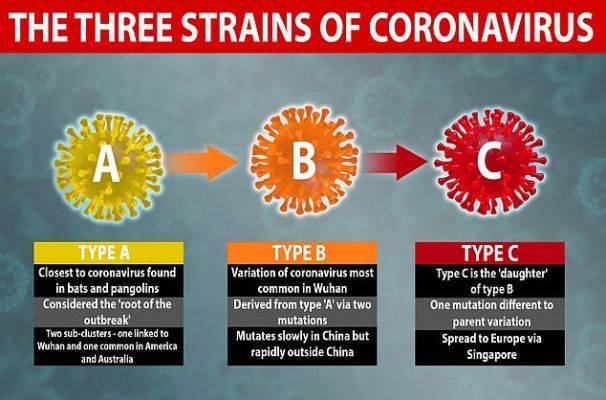 Обнаружены три разновидности коронавируса, в Америке и Европе они разные