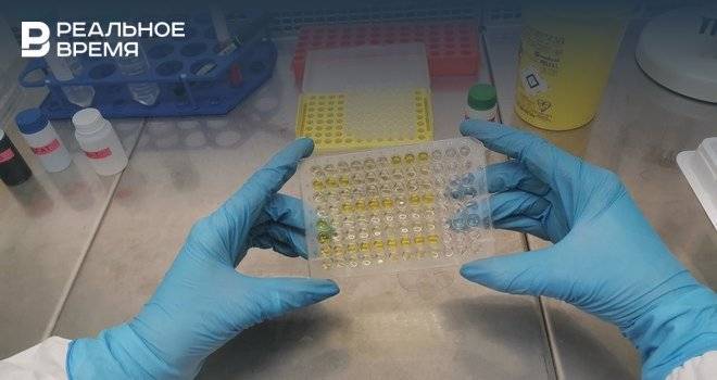 В КФУ получили первые результаты теста на антитела коронавируса
