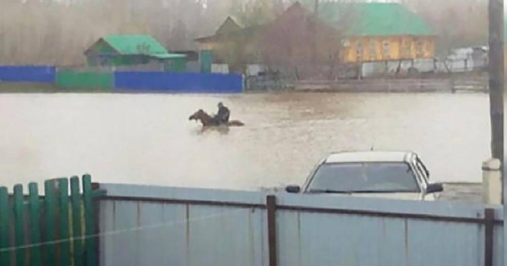 СМИ: в Башкирии мужчина пересек затопленную улицу на коне