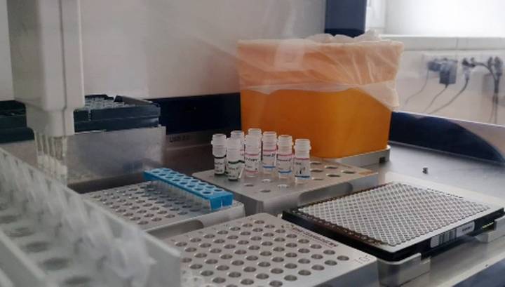 Тест-систему для выявления антител к коронавирусу зарегистрируют на следующей неделе