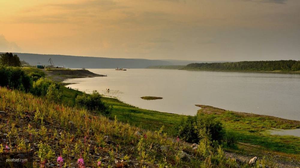 Гниющий труп мужчины обнаружен в реке Сейм Курска