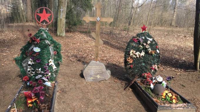 Жители Всеволожска обратили внимание на заброшенные могилы неизвестных летчиков
