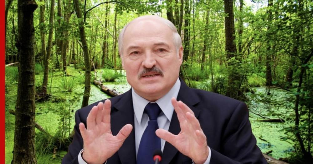 Лукашенко назвал болота Белоруссии здравницей