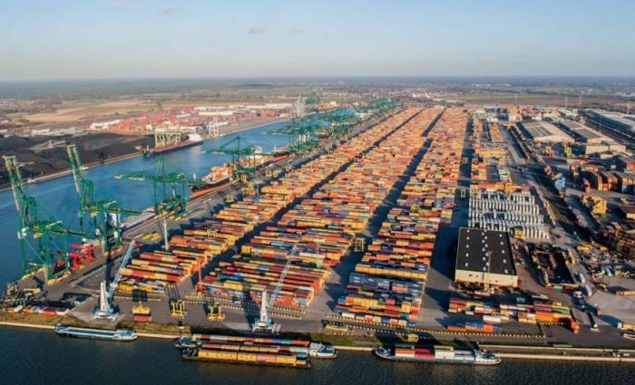 В Антверпенском порту нашли почти 4 тонны кокаина в контейнере с рыбой