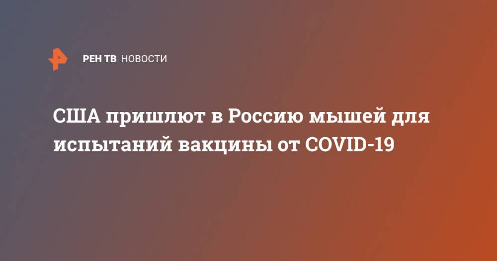 США пришлют в Россию мышей для испытаний вакцины от COVID-19