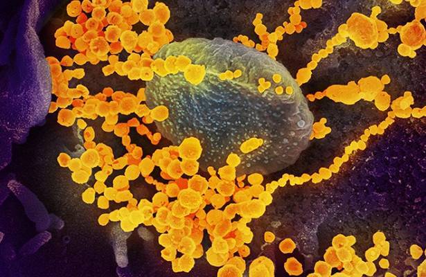 Ученые: коронавирус сокращает жизнь на 10 лет