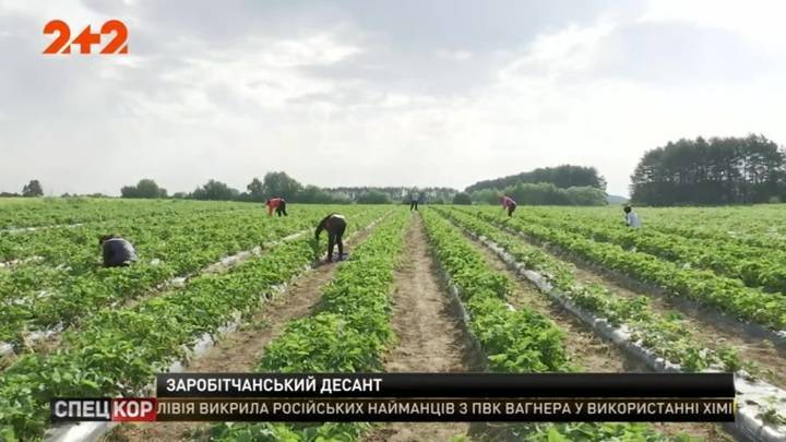 Украинские заробитчане едут спасать финский сельскохозяйственный сезон