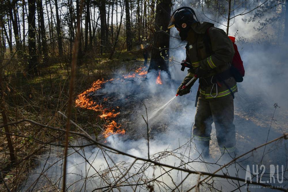 В Сосновом бору в Кемерове будут дежурить пожарные