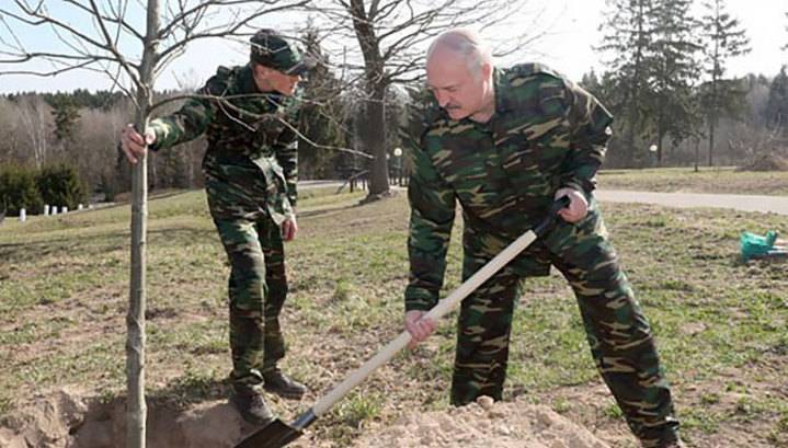 Лукашенко высадит сосны в Чернобыльской зоне