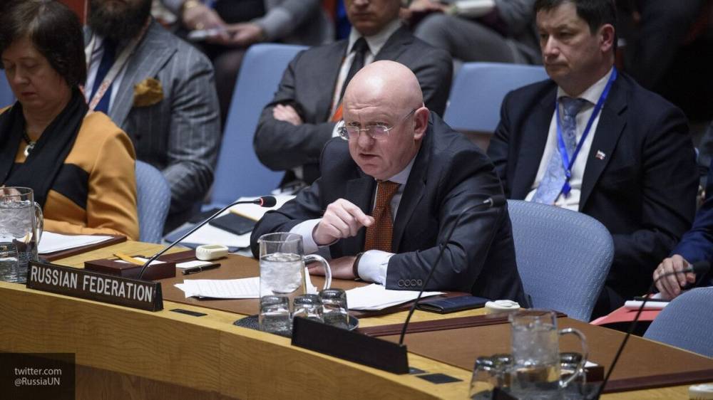 Небензя сделал замечание представителю Косово за неподходящий фон на выступлении в СБ ООН