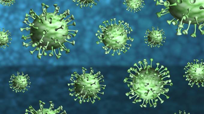 Вирусологи из Германии назвали категорию людей с возможным иммунитетом к COVID-19