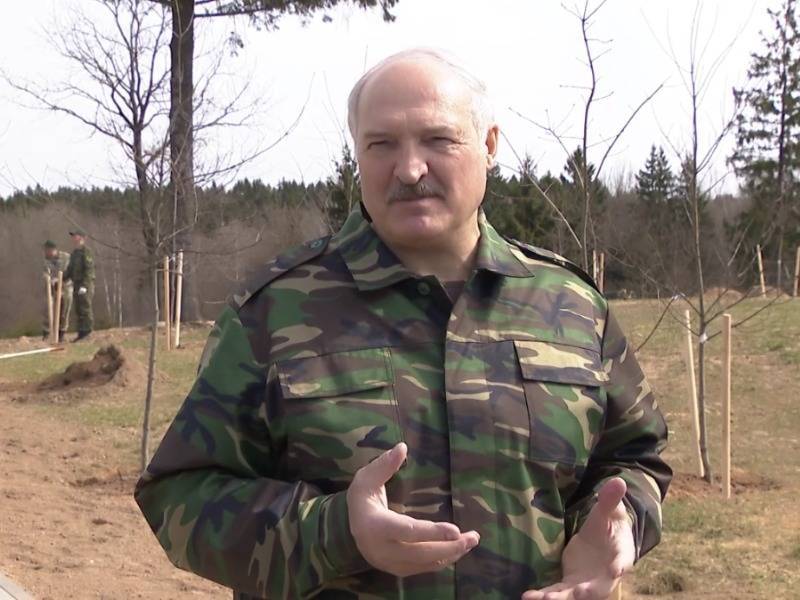 В Беларуси национальный субботник. Лукашенко сажает сосны в Чернобыльской зоне