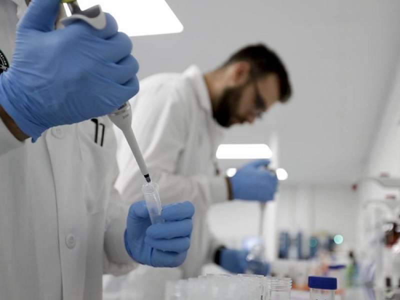 Итальянские ученые рассчитали степень смертности от коронавируса