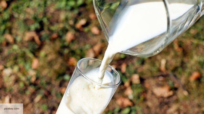 RTL объяснило, почему американские фермеры выливают молоко на поля