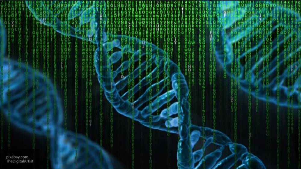 Генетик Дейнеко назвала расшифровку ДНК мощным прогрессом и скачком человечества в будущее