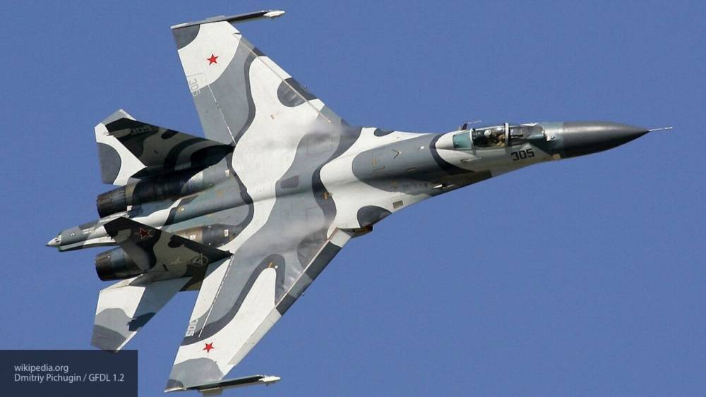 Минобороны показало на видео сопровождение российскими Су-27 бельгийского F-16