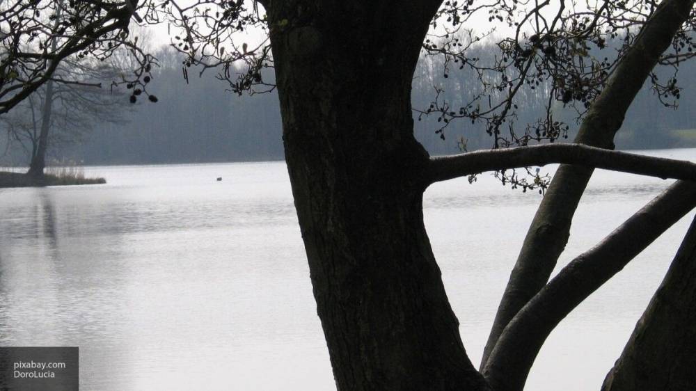 Водолазы нашли пропавшую пенсионерку из Липецка на дне озера