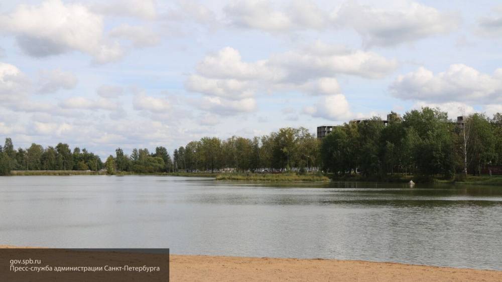 Пропавшую в марте женщину нашли мертвой в озере возле Приладожского