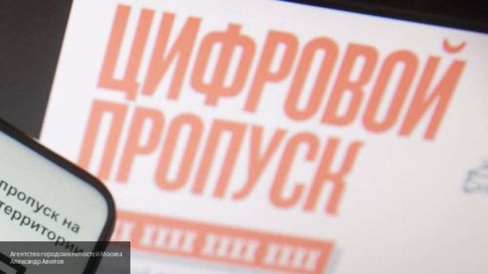 Режим электронных пропусков введут власти Кемеровской области с 5 мая