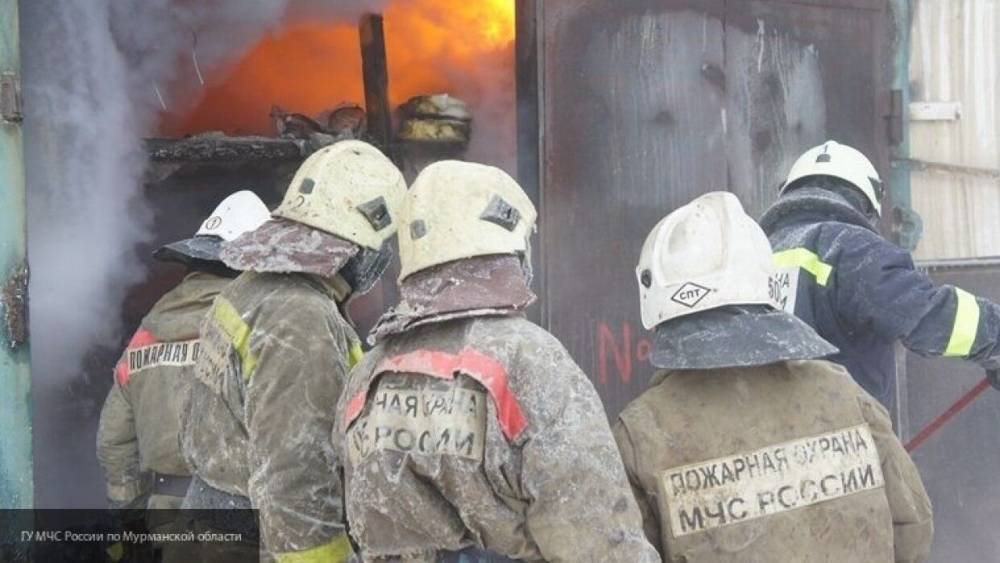 Саратовец сгорел при пожаре на даче на Кумысной поляне