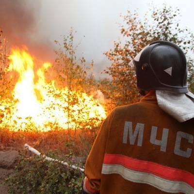 Десять домов пострадали от огня под Красноярском из-за пала травы