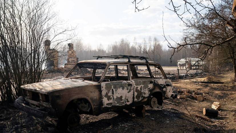 На Украине рассказали о последствиях пожаров в чернобыльской зоне