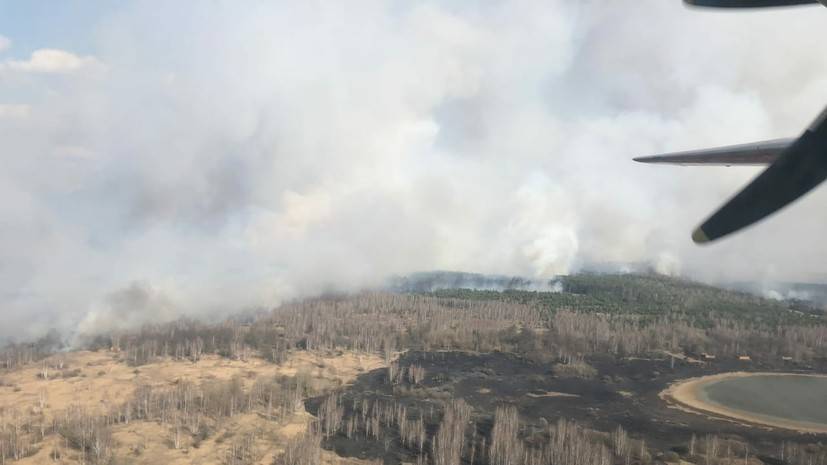 За сутки в России ликвидировали почти 160 лесных пожаров