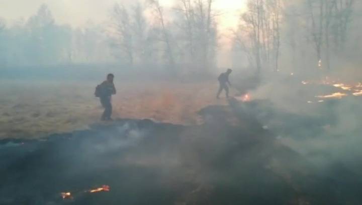 За прошедшие сутки в России ликвидировано 159 лесных пожаров