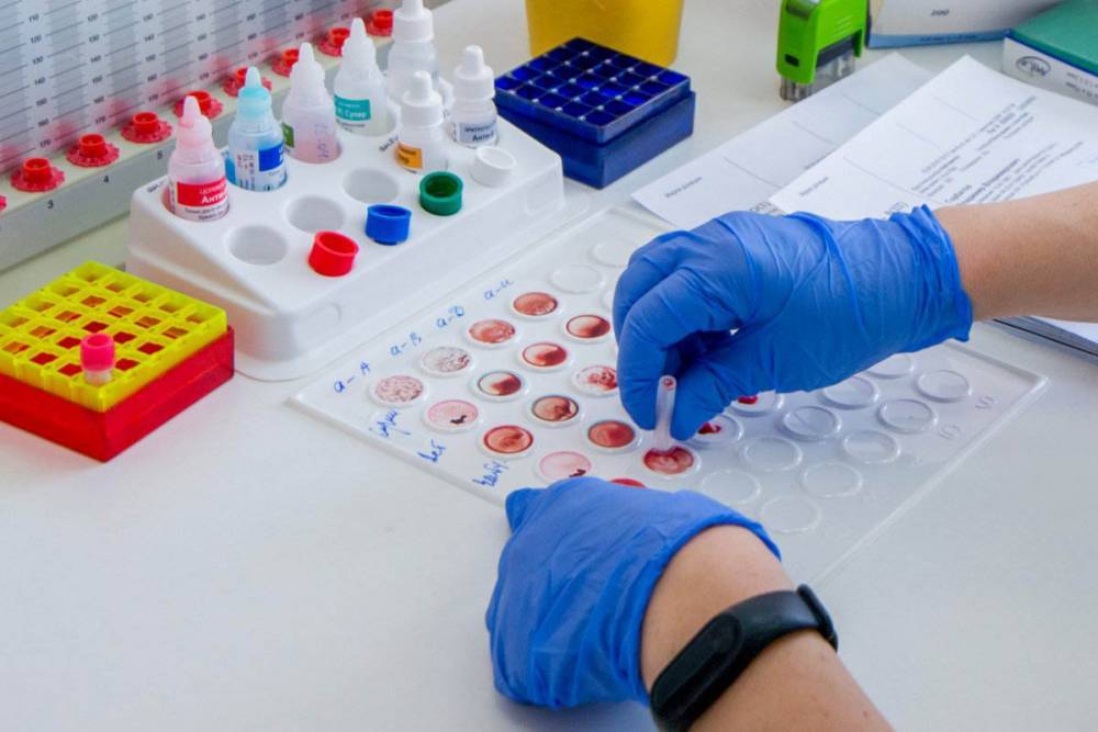 Более 2,8 миллиона тестов на коронавирус провели в России