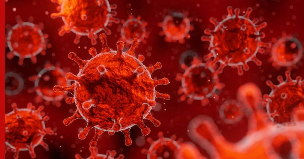 Ученые обнаружили в организме человека «точки входа» для коронавируса
