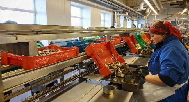 Лиепайский рыбоконсервный завод останавливает производство