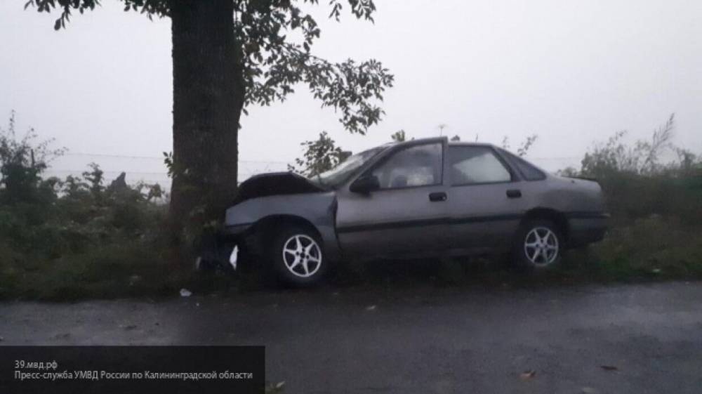 Пассажир иномарки погиб при столкновении авто с деревом на Уралмаше
