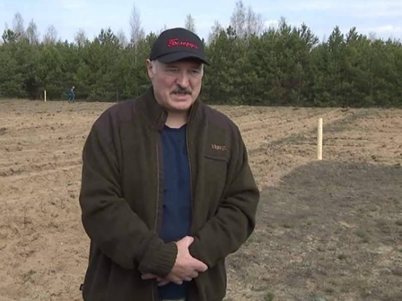 Лукашенко возглавил республиканский субботник в разгар эпидемии коронавируса